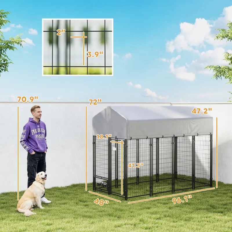 Outdoor Dog Kennel — photo 4
