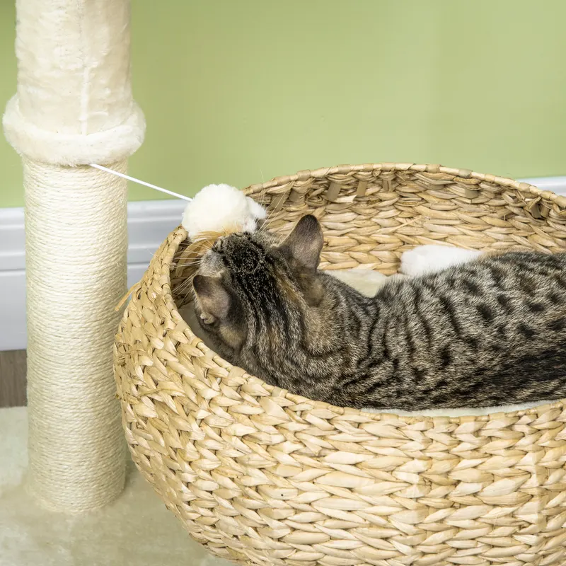 28" Elevated Cat Bed with Sisal Scratching Post for Indoor — photo 5