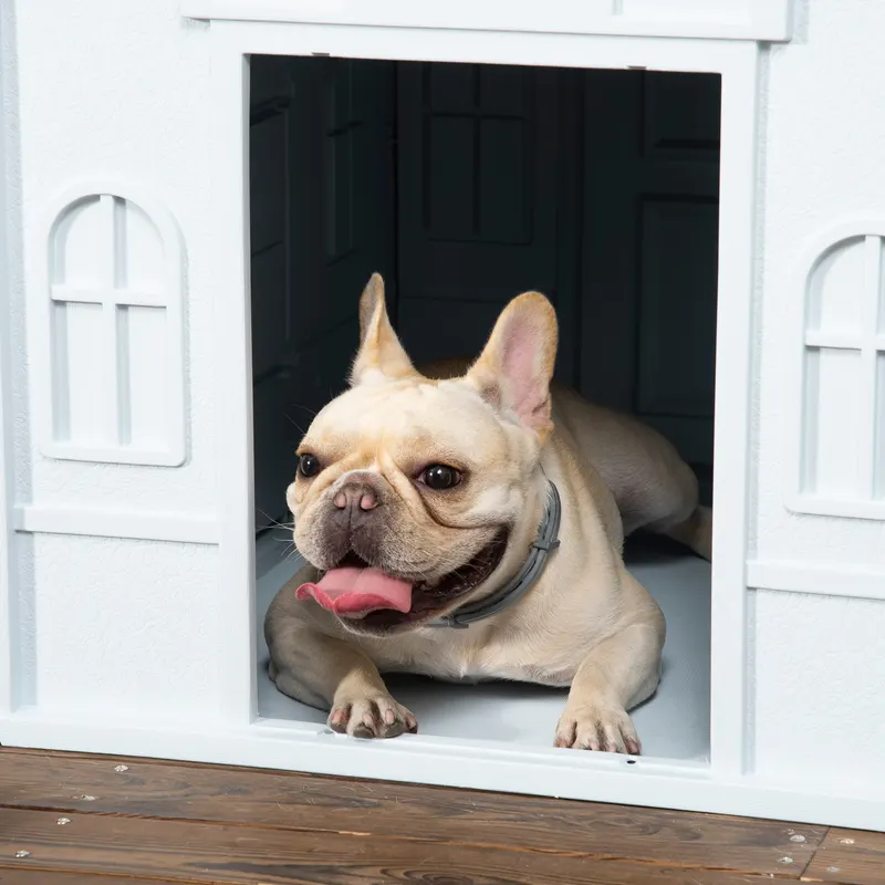 Plastic Dog House for Medium and Small Dogs — photo 5