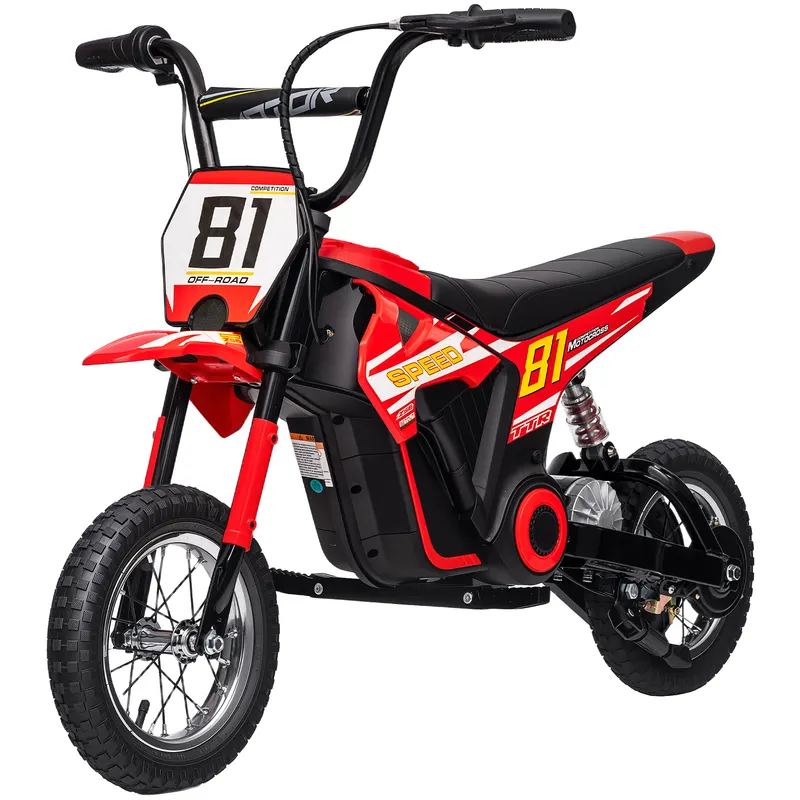 24V Kids Motorcycle — Electric Dirt Bike with 250W Motor