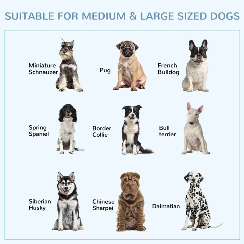 43" Heavy Duty Dog Crate Metal Cage Kennel with Lockable Wheels — photo 8