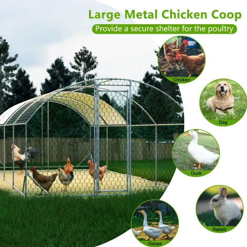 Large Metal Chicken Coop — Walk-in Poultry Cage — photo 2