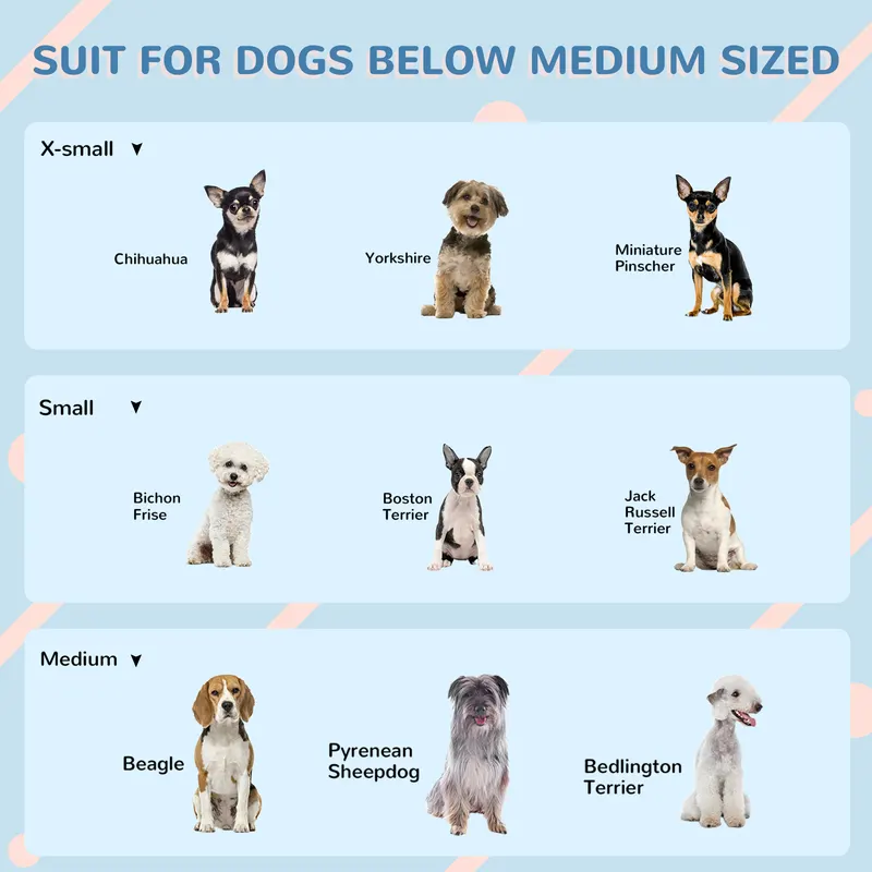Plastic Dog House for Medium and Small Dogs — photo 8
