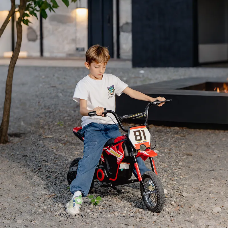 24V Kids Motorcycle — Electric Dirt Bike with 250W Motor — photo 2