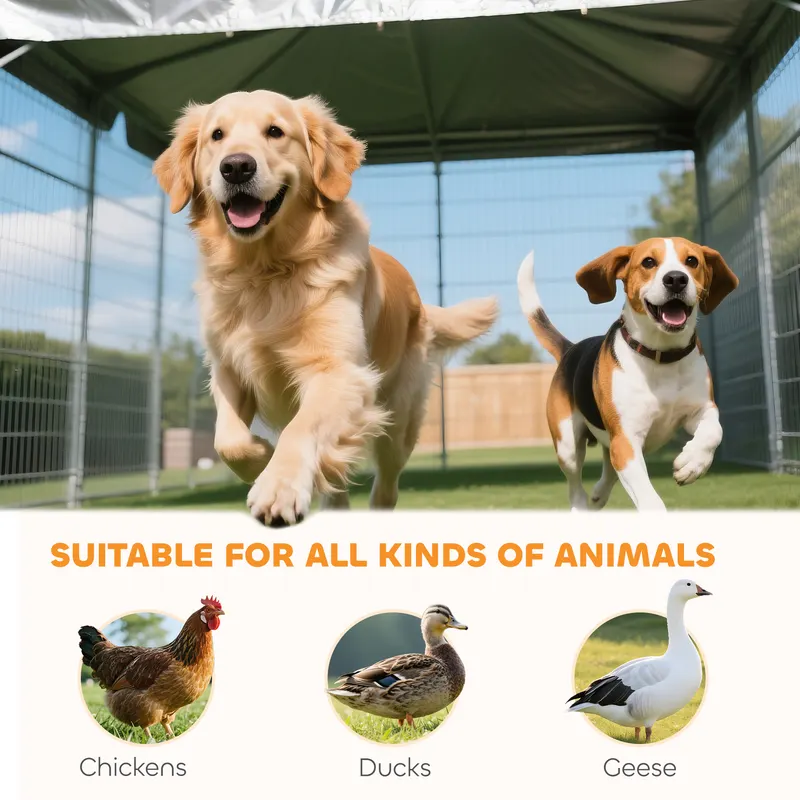 Large Outdoor Dog Kennel with 2 Rooms — photo 8