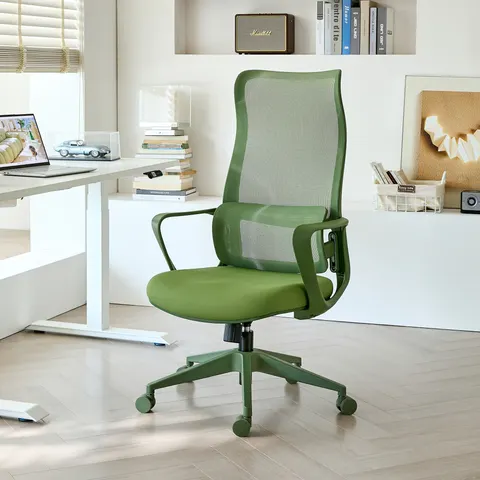 Ergonomic Colorful Office Chair 350LBS Home Office Mesh