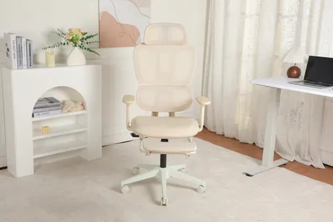 Ergonomic Office Chair with Footrest