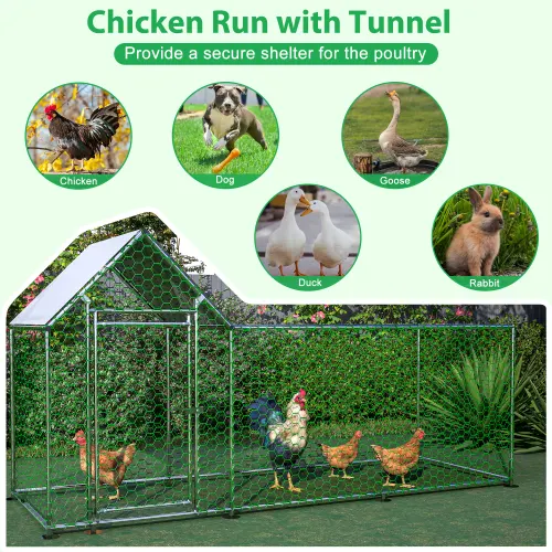 Poultry Habitat Cage with Lid for Chicken Coop — photo 3