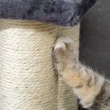 Pawhut Cat Tree with 4 Steps for High Beds Couch — photo 2